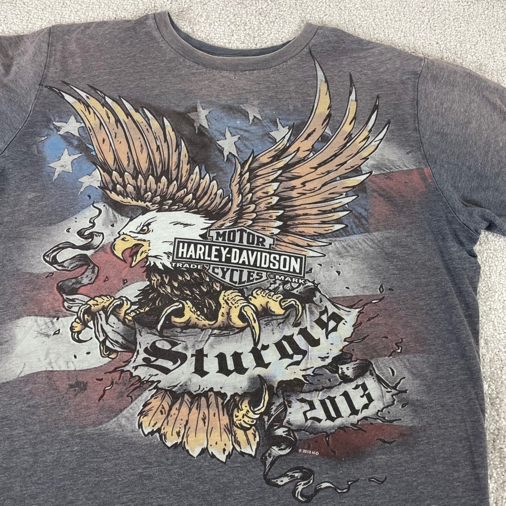 Harley Davidson T Shirt Mens Large Bald Eagle American Flag 2013 Biker Grunge